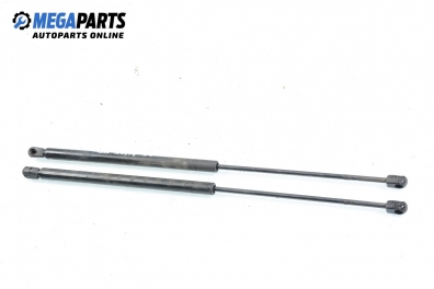 Амортисьор за багажник/товарно пространство за Renault Megane Scenic (10.1996 - 12.2001)