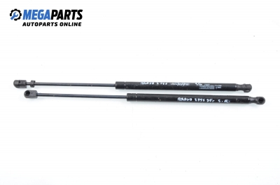 Амортисьор за багажник/товарно пространство за Fiat Brava Hatchback (10.1995 - 06.2003)