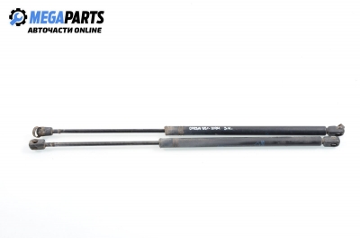 Амортисьор за багажник/товарно пространство за Opel Corsa B Hatchback (03.1993 - 12.2002)