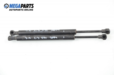 Амортисьор за багажник/товарно пространство за Citroen C3 Pluriel (05.2003 - 03.2010)