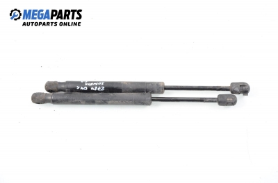 Амортисьор за багажник/товарно пространство за Hyundai Sonata IV Sedan (03.1998 - 12.2005)