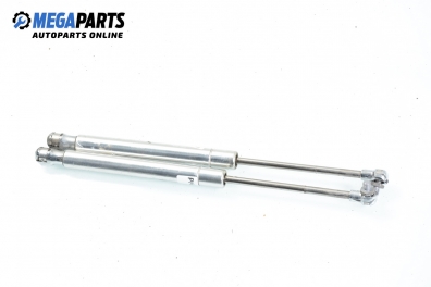 Амортисьор за багажник/товарно пространство за Volkswagen Phaeton Sedan (04.2002 - 03.2016)