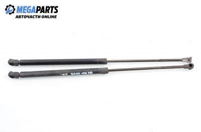 Амортисьор за багажник/товарно пространство за Volkswagen Golf IV Hatchback (08.1997 - 06.2005)